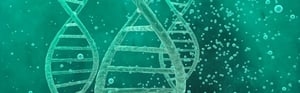 Darstellung von DNA-Doppelhelixen und Nanostrukturen zur Veranschaulichung von Nanomaterialien, Biokompatibilität, Risikomanagement und regulatorischen Anforderungen für Medizinprodukte.