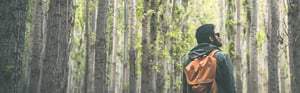Mann mit Rucksack im Wald zwischen hohen Bäumen – Symbol für Orientierung, Entscheidungsfindung und den strukturierten Weg durch die klinische Bewertung von Medizinprodukten.
